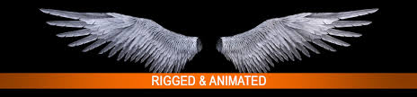 Angel Wings 3d Model 3d Model Wings Animation