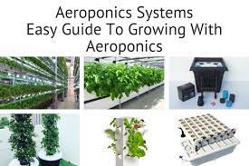 Check spelling or type a new query. Aeroponics Systems Easy Guide To Growing With Aeroponics Smart Garden Guide