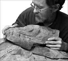 Dinosaurs, plesiosaurs, mosasaurs and more, Paleontology, Department of  Geology