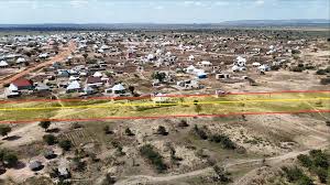 Image result for Blotiella trichosora