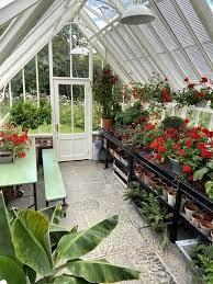 Greenhouse Interior Layout Inspiration In 2021 Outdoor Greenhouse Greenhouse Farming Greenhouse