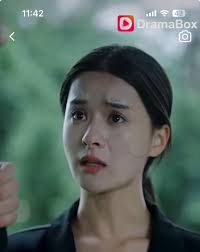 Names of DramaBox series actors : r/CDrama