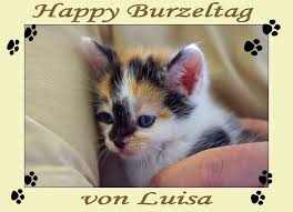 Passendere begriffe oder andere wörter für »burzeltag«: Happy Burzeltag Von Louisa Foto Bild Gratulation Und Feiertage Geburtstag Karten Bilder Auf Fotocommunity
