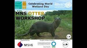 However, it is crucial that sun bears must know how to avoid humans. Wildlife Conservation Enactment 1997 May Be Amended To Cute766