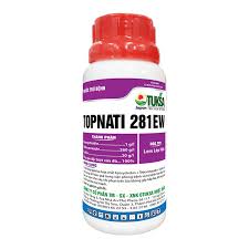Topnati 281EW
