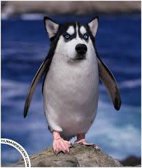 Freaky And Bizarre Animal Mashups By Human Descent Tuts Design Illustration Article Animal Mashups Photoshopped Animals Bizarre Animals