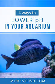How To Safely Lower Ph In Your Aquarium And Keep It Stable Fish Care Aquarium Aquarium Set