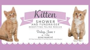 The shops at west end are steps from the door. Kitten Shower Feline Rescue Inc