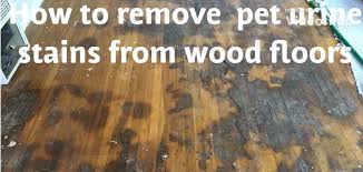 How To Remove Pet Urine Water Damage Stains From Wood Floors Staining Wood Floors Water Stain On Wood Diy Wood Floors