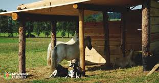 Bekijk onze goat barn selectie voor de allerbeste unieke of custom handgemaakte items uit onze ben je helemaal hierheen gescrold om over goat barn te lezen? 23 Inspiring Goat Sheds Shelters That Will Fit Your Homestead