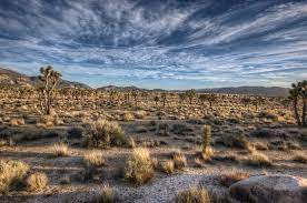 Resting in the heart of yucca valley, california, this home offers a certain lifestyle in senior care that. High Desert Hdrphotog