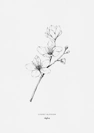 Pin On Tattoo Ideas