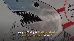 We did not find results for: Loan Shark Contact Number Youtube