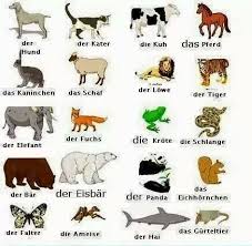 Maybe you would like to learn more about one of these? Nama Hewan Dalam Bahasa Jerman Pursuing My Dreams
