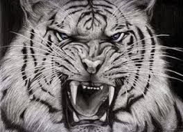 About press copyright contact us creators advertise developers terms privacy policy & safety how youtube works test new features press copyright contact us creators. 10 Ide Khodam Dan Manfaatnya Menggambar Harimau Harimau Putih Seni Naga