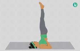 Sarvangasana Shoulder Stand Pose Steps And Benefits