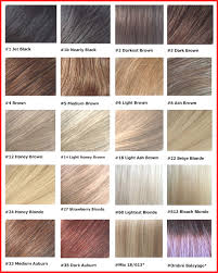 Hairstyles Brunette Hair Color Charts Winning Chart