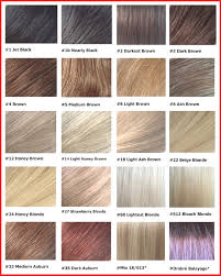 hairstyles brunette hair color charts wonderful medium ash