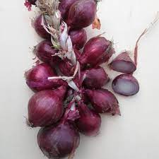 Cipolla Di Tropea Igp Secca Treccia Da 2 Kg Sibarizia Vendita Online Di Prodotti Tipici Calabresi