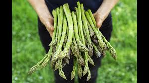 Devastating, but if you know. Fact Check No Evidence Asparagus Can Cure Cancer