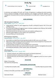 Finding a position in auditing? Resume Cv Sample For Auditor Jobsdb Hong Kong Cv Template Auditor Cv Design Template