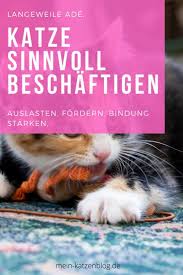 Katze Beschaftigen Top Ideen Spielzeug Fur Wohnungskatzen 2020 In 2020 Katzen Beschaftigen Katzen Intelligenzspielzeug Katze