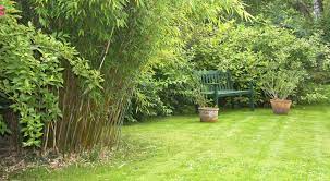 $ 39.99 $ 29.99 read more. Gartenshop Gartenbedarf Versandkostenfrei Hortomundo