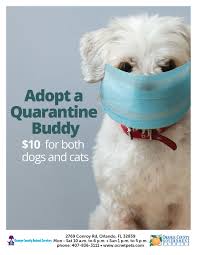 Our mission is to protect people and pets. Orange County Animal Services Pet S Don T Need To Social Distance So Come And Adopt A Quarantine Buddy Today Adoption Fees For Both Dogs And Cats Are 10 All Month Long