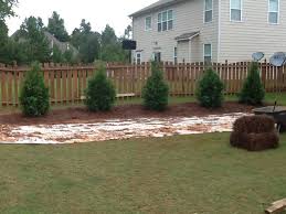 Natural fences constructed of shrubbery, trees, or flowering bushes are attractive and 11 living fences that look better than chain link. New Shrubs Trees Watering Walter Reeves The Georgia Gardener