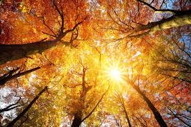 » lichttherapie im solarium nutzen. Lichttherapie Bei Winterdepression Medizin Transparent