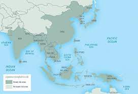 Maybe you would like to learn more about one of these? Japanese Encephalitis Wikipedia