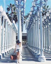 Lacma Los Angeles California Pictures Los Angeles Pictures Los Angeles Travel