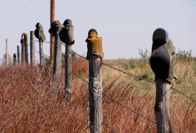 The art of cowboy communication; the Western spirit lives on - RV Travel