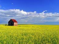 Community contributor can you beat your friends at this quiz? Alberta Trivia Questions Answers Canada