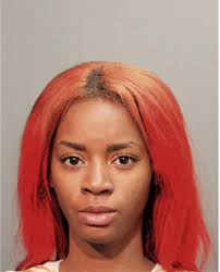 ᐅ Illinois Criminal Records 2009-2025