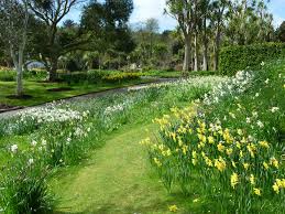 Logan Botanic Garden Dumfries And Galloway Holiday Cottages In Scotland Scotland Holidays Scotland