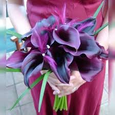 Give us a call today and let our award winning designer create the perfect floral gift. Carter S Florist Amp Greenhouses St Petersburg Fl Partner