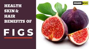 They are rich in phytonutrients, antioxidants, and vitamins. 8 Benefits Of Figs For Health Skin And Hair Jugaadin News