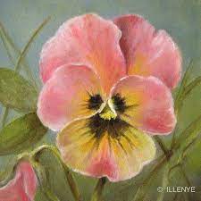 Pink Pansy Oil Painting Pansies Flowers Flower Art Flower Painting