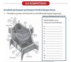 Uji Kompetensi Piwulang 1 Kelas 8 Ilmu Link