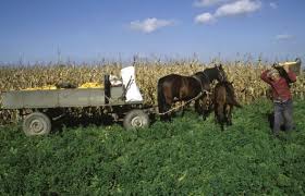 Hungary Kicks Off Family Farming S Big Year Sustainable Development Rural Area Farm