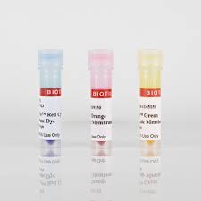 Maybe you would like to learn more about one of these? Cellbrite Cytoplasmic Membrane Dyes Biotium