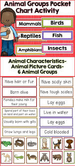 Animal Groups Animal Classification Animal Classification