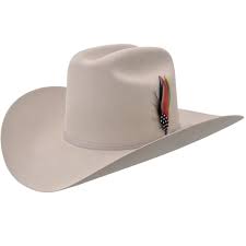 Stetson 6x Rancher Cowboy Felt Hat Vaquero Boots