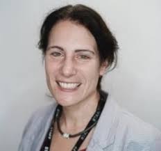 Process‐Structure‐Formulation Interactions for Enhanced Sodium Ion Battery  Development: A Review