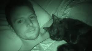 Cole & Marmalade added a new photo.