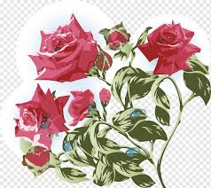 Product listings with sets of multiple Garden Roses Beach Rose Centifolia Roses Flower Hand Painted Vintage Roses Watercolor Painting Flower Arranging Poster Png Pngwing