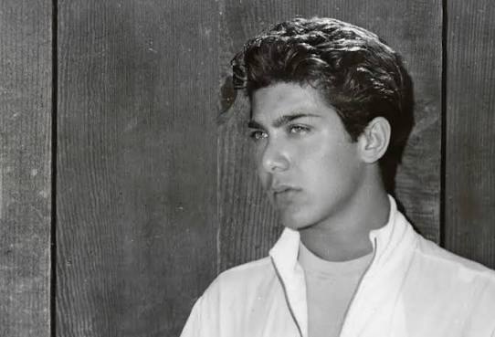 Paul Anka traces the story of 'My Way' from dinner with Frank Sinatra to  caviar with Putin