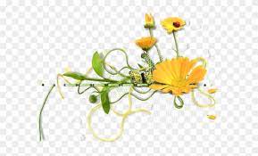 We are offering millions of png images, graphics, fonts. Flowers Fleurs Tube Fiori Png Free Transparent Png Clipart Images Download
