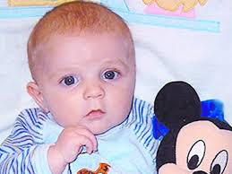 Bebis bets ihjäl av hundar